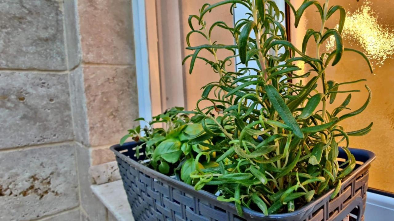 Primrose Boutique Apartment Ashdod Eksteriør bilde