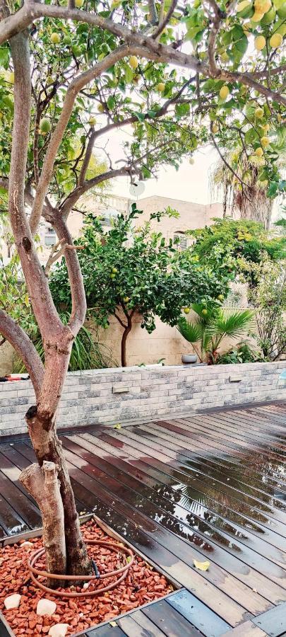 Primrose Boutique Apartment Ashdod Eksteriør bilde