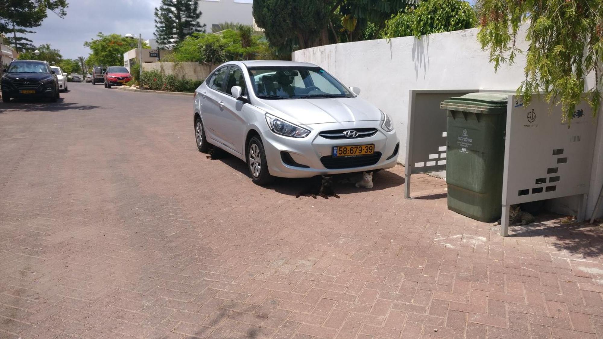 Primrose Boutique Apartment Ashdod Eksteriør bilde